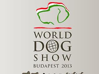 Budapesten rendezik a Kutya Világkiállítást