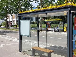 316 buszmegálló tetejére telepítenek zöldfelületet Utrechtben