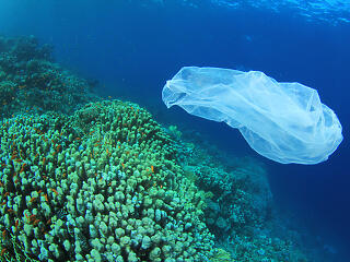 Elárasztja a műanyag a Földközi-tengert