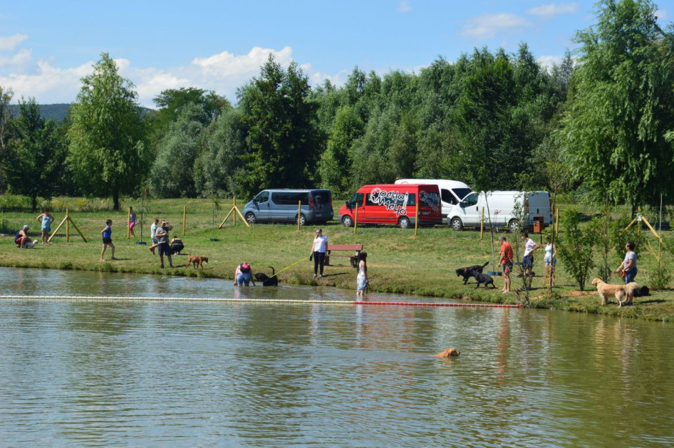 kőszegi kutyastrand