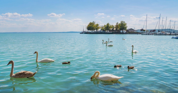 Balaton