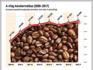 A csúcsokat ostromolja a világ kávéexportja
