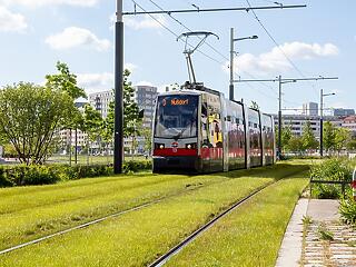 Már a villamossínek is zöld szemlélettel készülnek Bécsben