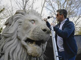Orvosi lézerrel is tisztítják a Lánchíd budai oroszlánjait