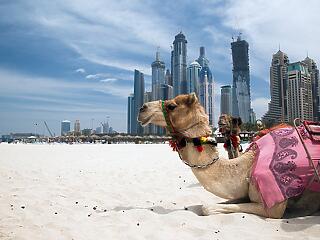 A turizmus fellendülésében bízva Dubaj eltörölte a 30 százalékos alkoholadót