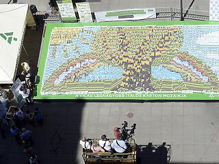 A világ legnagyobb italos karton mozaikját készítette el az IKSZ
