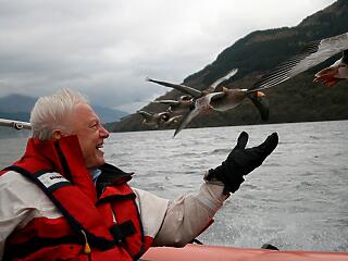 David Attenborough-t ünnepli a Spektrum