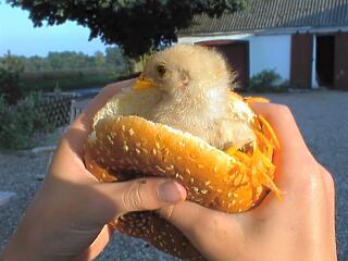 Csirkére vált a McDonald's