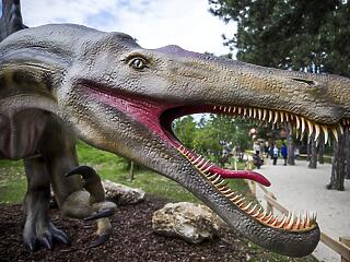 Megnyílt az ország legnagyobb dinoszauruszparkja