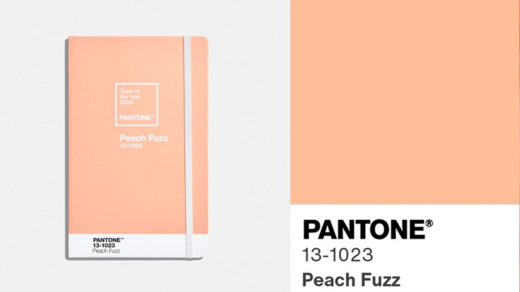 Pantone-color-of-the-year-2024 / Peach Fuzz / Fotó: pantone.com