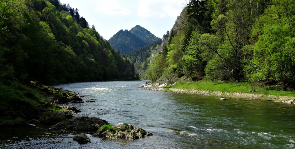 Dunajec folyó