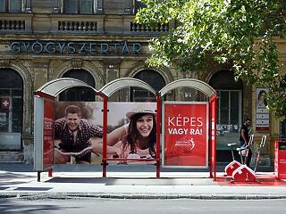 Látták a Coca-Cola márkázott buszmegállóját?