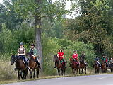 Hucul lovakkal indul túra Aggtelekről Lengyelországba