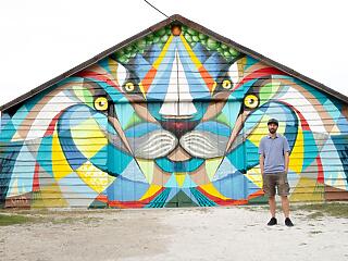 Street art kiállítás a balatoni házfalakon