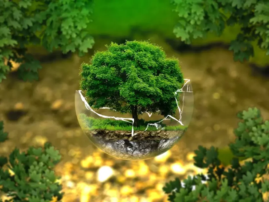 Forrás: pixabay