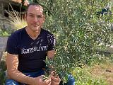 Akkora a hiány, hogy már a fán lévő olívabogyók olajára megy a licit