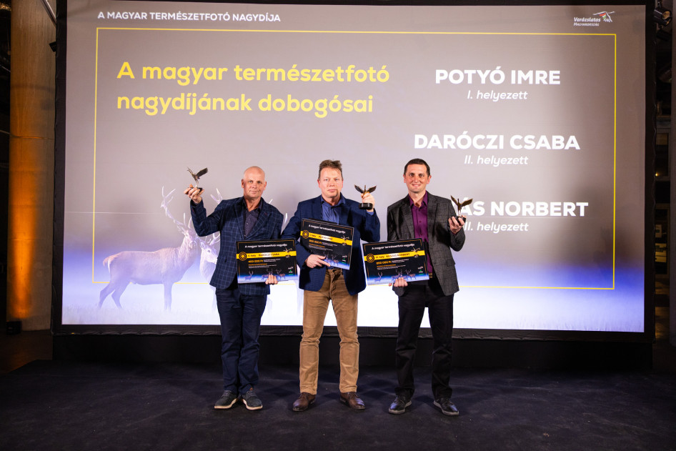 Daróczi Csaba, Potyó Imre, Kaszás Norbert