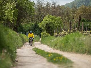 Panoráma kerékpárút a Balaton-felvidéken