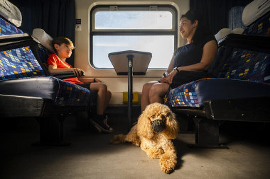 Forrás: MÁV-Start Zrt.