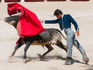 Gondban a spanyol bikatenyésztők
