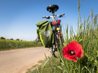 EuroVelo 11 útvonal: újabb fejlesztések