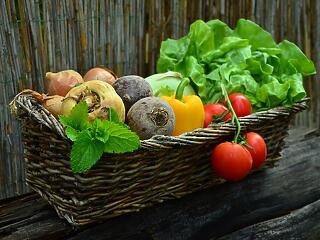 Zöldség- és gyümölcskert egy szupermarket tetején