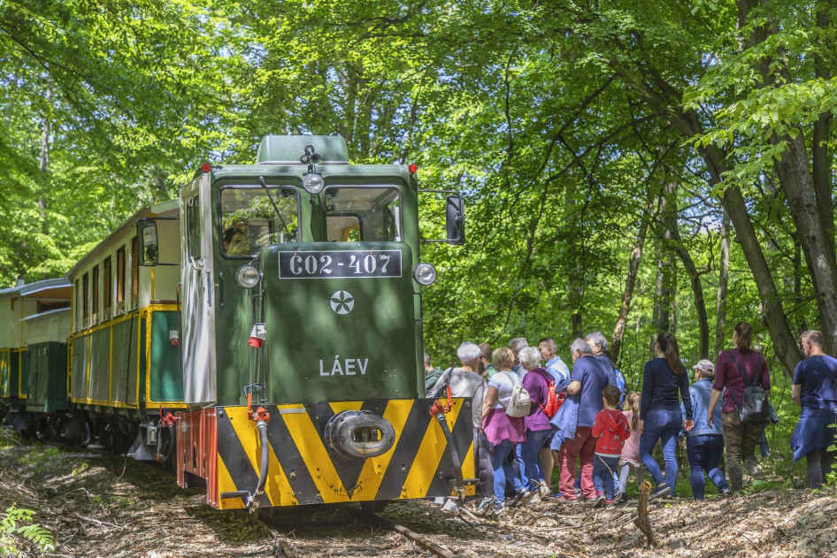 Indul az Erdei Gasztroexpressz