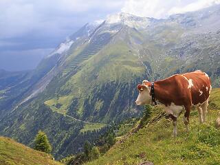 Veszélybe kerülhet az alpesi turizmus Ausztriában