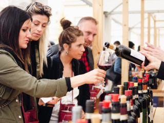 AGROmashEXPO: fókuszban a szőlészet és borászat