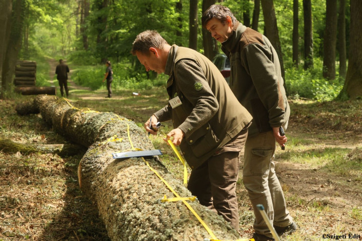 A Társaság 8 erdészetétől összesen 18 erdész kolléga érkezett, hogy megmérettesse magát