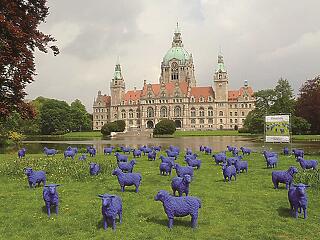 Kék birkák lepik el Bécset