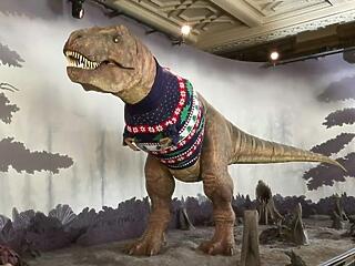 Ronda pulcsiban pompázik a londoni múzeum T.rexe