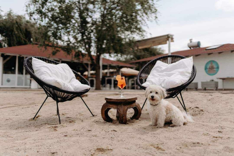 Jade beach