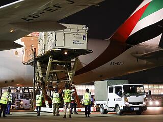 Az Emirates 247 lovat szállít Tokióba