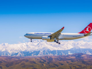 Rangos díj a Turkish Airlines teherszállító üzletágának