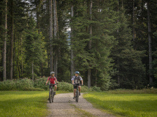E-bike beszerzési program turisztikai vállalkozások számára