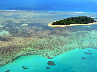 Így mentenék meg a Nagy-korallzátonyt a pusztulástól