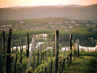 Végleg megfeneklett a Tokaj-paktum?