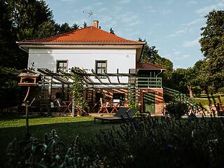 19-re húztak egy lapot