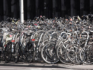 54 millió fával ér fel a hollandok éves kerékpárhasználata