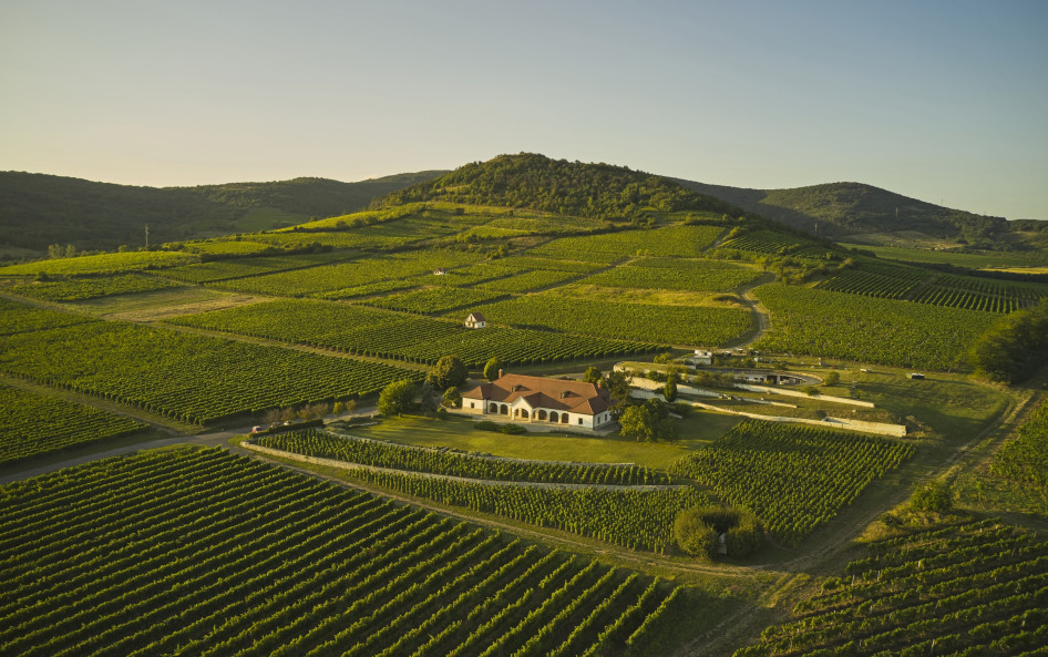 Patrícius Borház, Tokaj