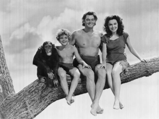 Legendás filmsztár, temesvári gyökerekkel – Johnny Weissmüller emlékkiállítás nyílik