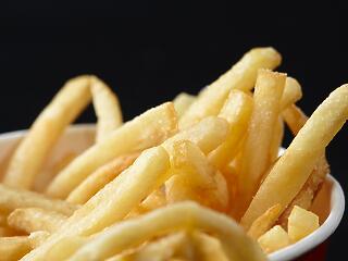Négy gyorsétteremlánc sült krumplijait tesztelte a NÉBIH