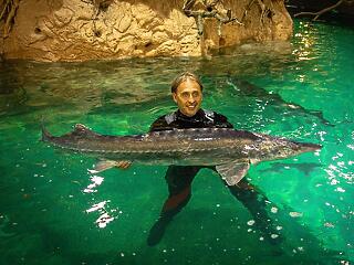 100 kilós élő vizát is láthatunk a vadászati világkiállításon