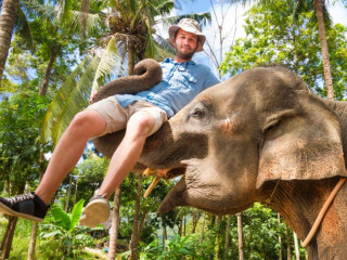 Biztos, hogy jó ötlet elefánton utazgatni az egzotikus úti célokon?