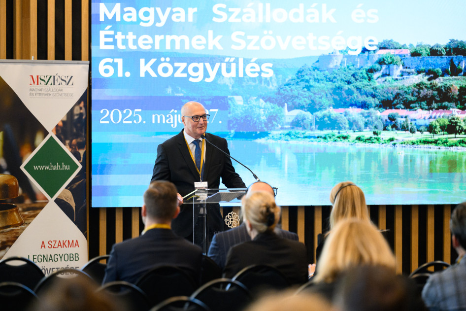 Somlyai Zoltán, MSZÉSZ elnök