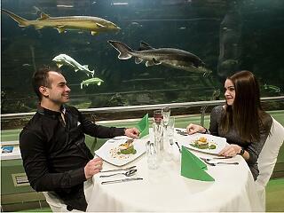 A víz alatt vacsorázhatunk a Tisza-tavi Ökocentrumban