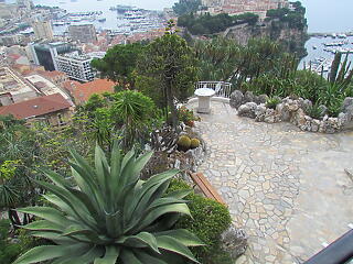 A sziklafalon kúszó kaktuszcsodák kertje Monacóban