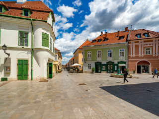 Rejtélyes frigyláda Győrben