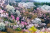 Depositphotos